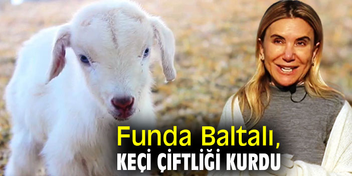 Funda Baltalı, keçi çiftliği kurdu