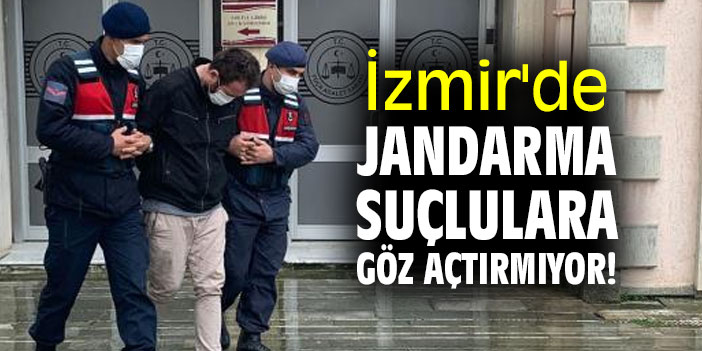 İzmir'de Jandarma suçlulara göz açtırmıyor!