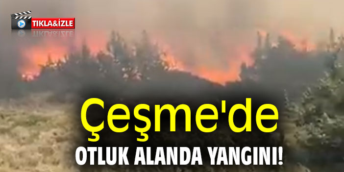 Çeşme'de otluk alanda yangını!