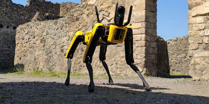 Pompeii'nin yeni  koruyucusu: Robot köpek