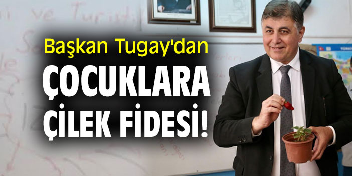 Başkan Tugay'dan çocuklara çilek fidesi!