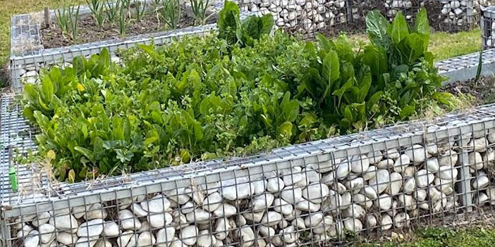 İzmir Ekonomi Rotaract'tan sürdürülebilir bahçe