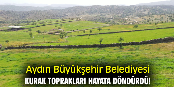 Aydın Büyükşehir Belediyesi, kurak toprakları hayata döndürdü!