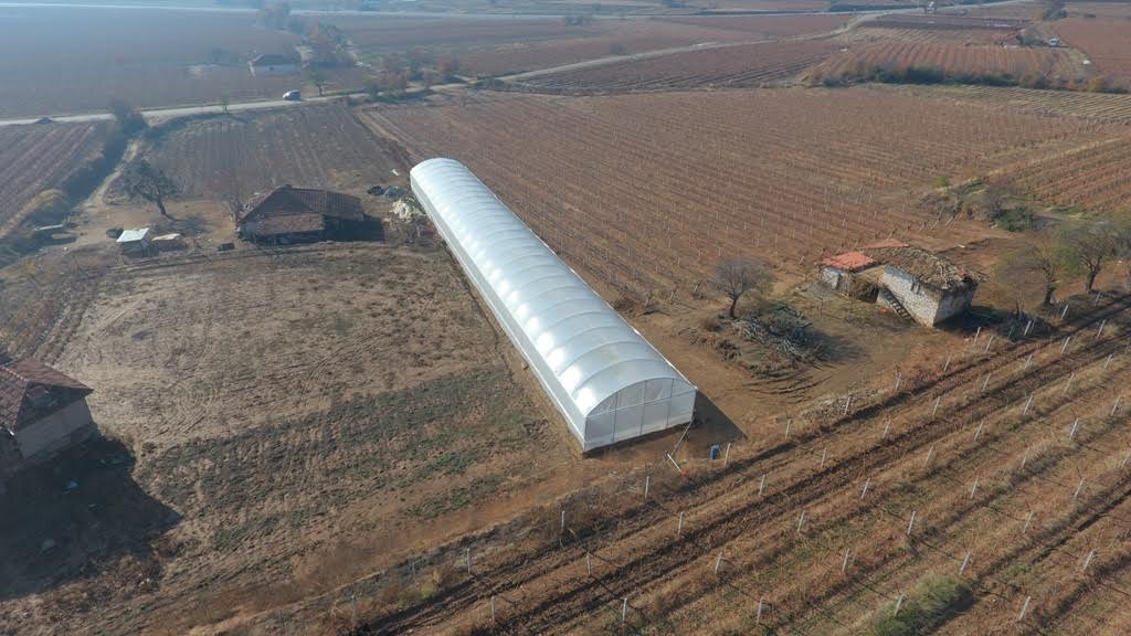 Büyükşehir’in Seralarında Sebze Yetişmeye Başladı