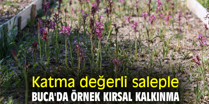 Katma değerli saleple, Buca'da örnek kırsal kalkınma