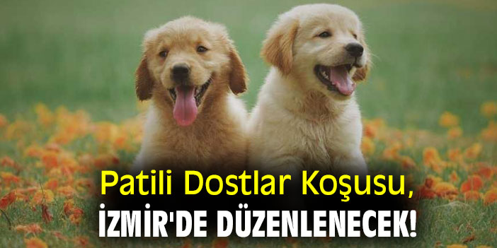Patili Dostlar Koşusu, İzmir'de düzenlenecek!