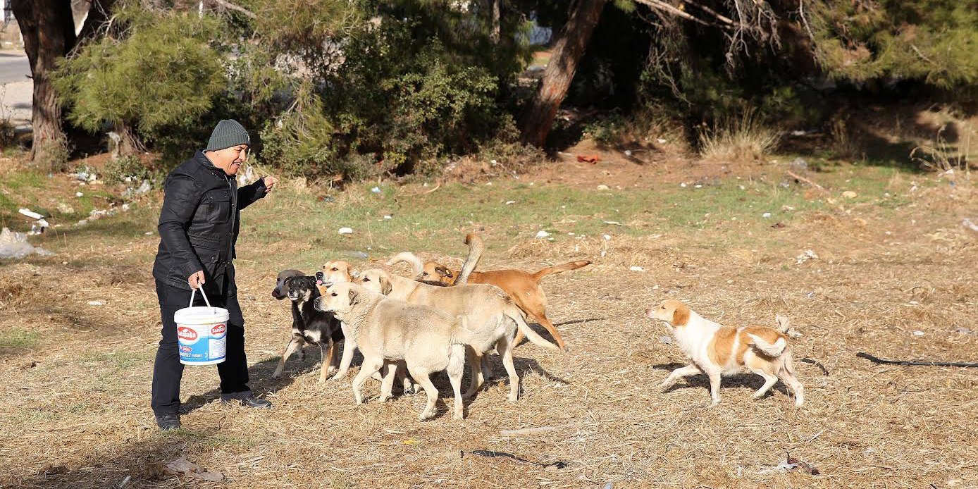 Buca’da Can Dostlarına sürekli gıda desteği