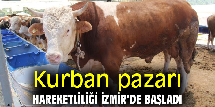 Kurban pazarı hareketliliği İzmir'de başladı!