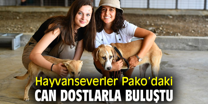Hayvanseverler Pako’daki can dostlarla buluştu