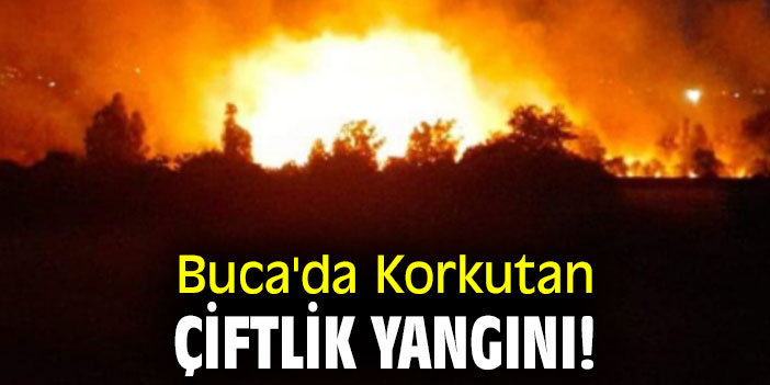 BUCA'DA KORKUTAN ÇİFTLİK YANGINI!
