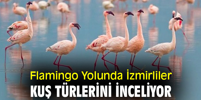 Flamingo Yolunda İzmirliler kuş türlerini inceliyor