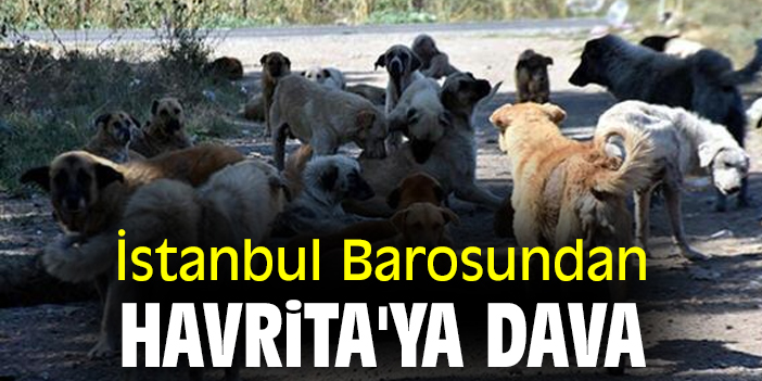 İstanbul Barosundan Havrita'ya dava