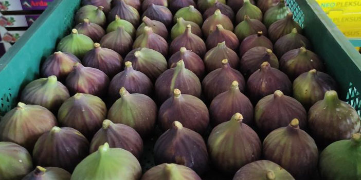 Kraliçe İnciri üreticilerinden aracılara tepki!