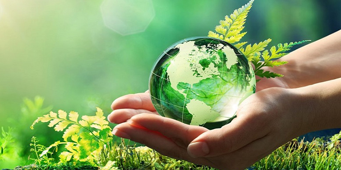 Vegan temizlik ürünlerine ilgi artıyor