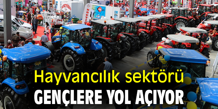Hayvancılık sektörü gençlere yol açıyor
