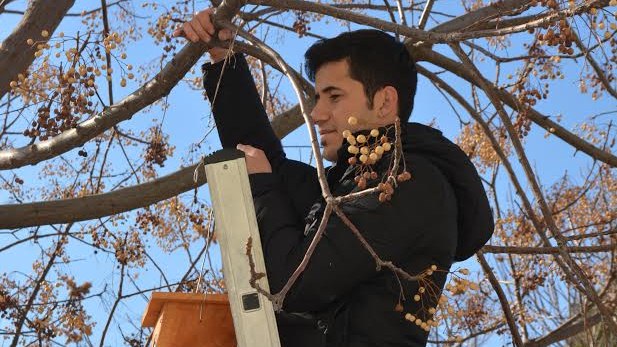 Yeni dekan kuşları da unutmadı