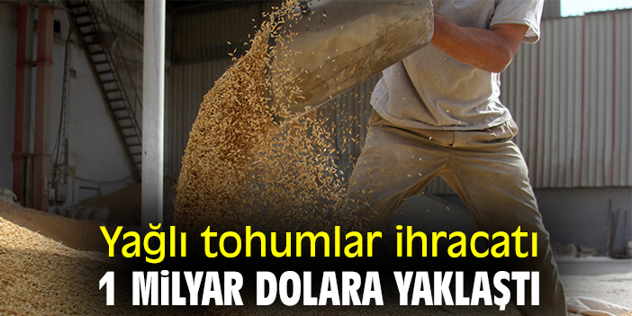 Yağlı tohumlar ihracatı 1 milyar dolara yaklaştı