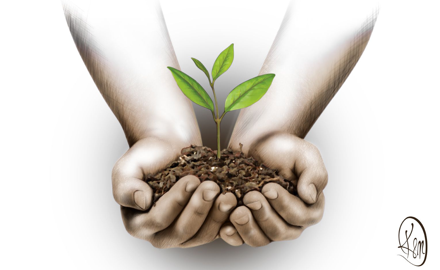 Yeni yıla girerken ağaç kesmeyelim fidan dikelim