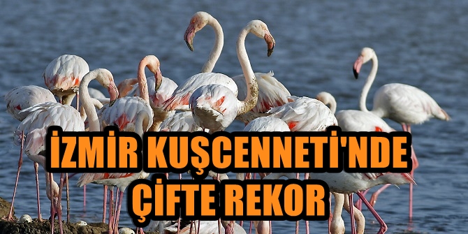 İZMİR KUŞCENNETİ'NDE  ÇİFTE REKOR