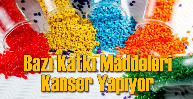 Katkı Maddeleri Obeziteye Neden Oluyor