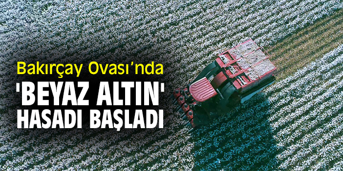 Bakırçay Ovası’nda 'beyaz altın' hasadı başladı