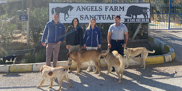 Sokak hayvanları için önemli işbirliği