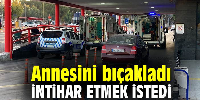 Annesini bıçakladı, intihar etmek istedi