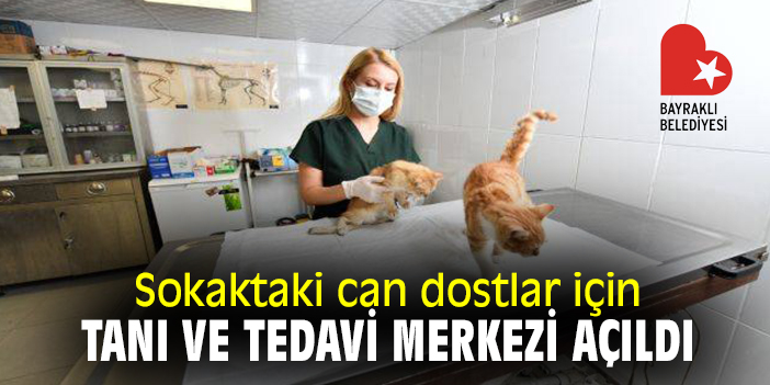 Sokaktaki can dostlar için tanı ve tedavi merkezi açıldı