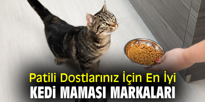 Patili Dostlarınız İçin En İyi Kedi Maması Markaları