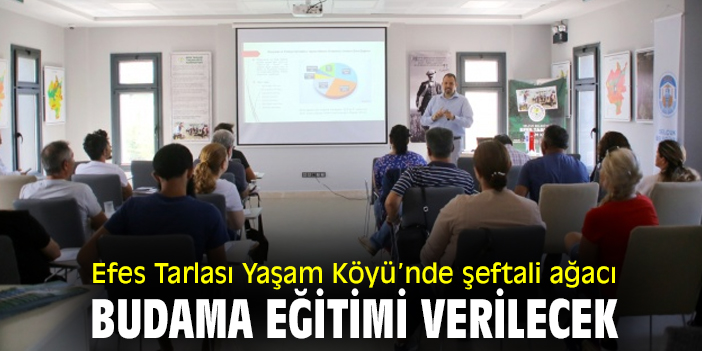 Efes Tarlası Yaşam Köyü’nde şeftali ağacı budama eğitimi verilecek