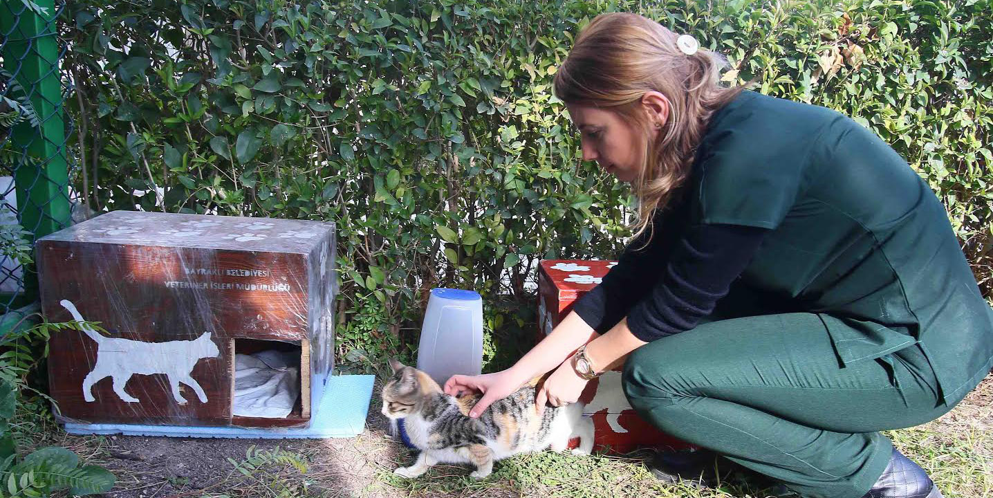 Can dostlar “ev”lerini sevdi