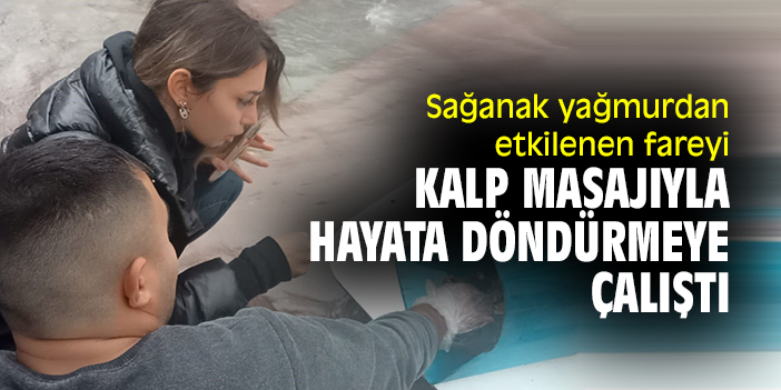 Sağanak yağmurdan etkilenen fareyi kalp masajıyla hayata döndürmeye çalıştı