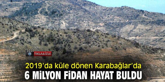 2019’da küle dönen Karabağlar’da 6 milyon fidan hayat buldu