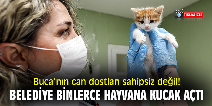 Buca’nın can dostları sahipsiz değil! Belediye, binlerce hayvana kucak açtı