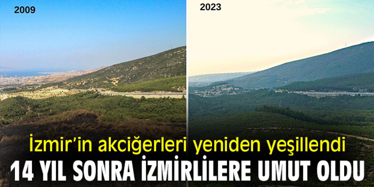 İzmir’in akciğerleri yeniden yeşillendi! 14 yıl sonra İzmirlilere umut oldu