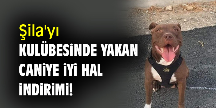 Şila'yı kulübesinde yakan caniye iyi hal indirimi!