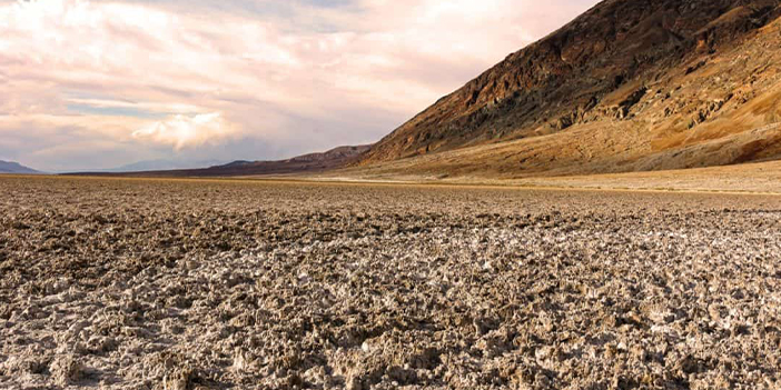 'Bitki yoksa toprak da yok olur'