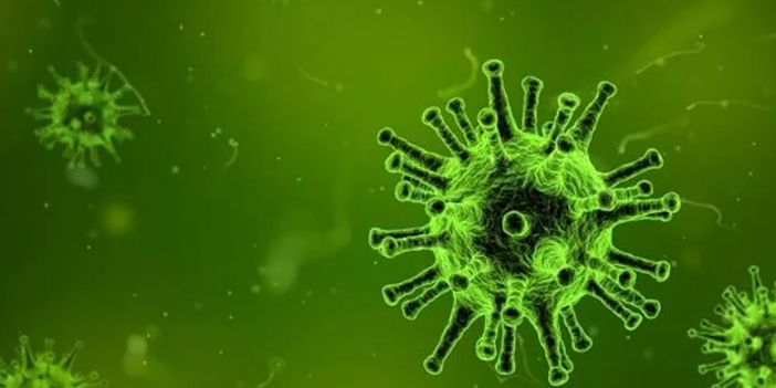 Beta, damlacık yoluyla bulaşıyor