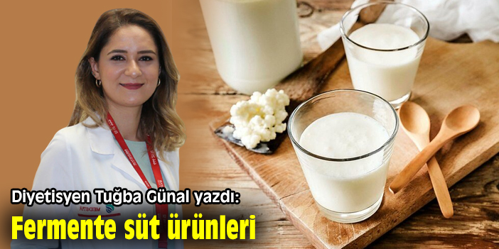 Fermente Süt Ürünleri