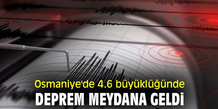 Osmaniye'de 4.6 büyüklüğünde deprem meydana geldi