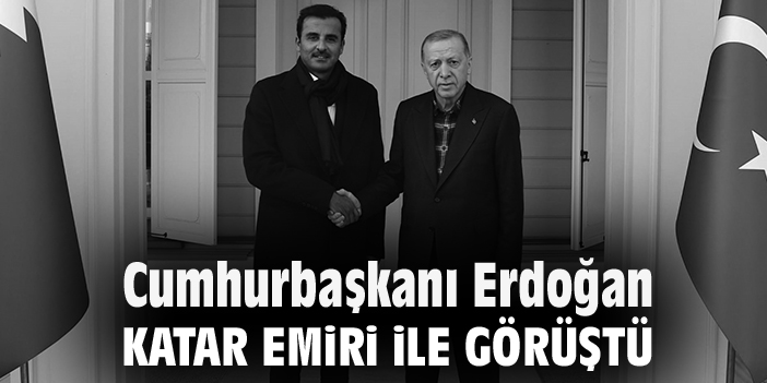 Cumhurbaşkanı Erdoğan, Katar Emiri Al Sani'yle görüştü