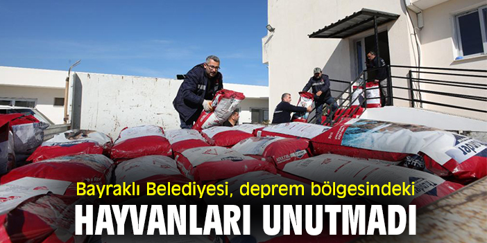 Bayraklı Belediyesi, deprem bölgesindeki hayvanları unutmadı