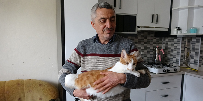 Kedisini canı pahasına kurtardı