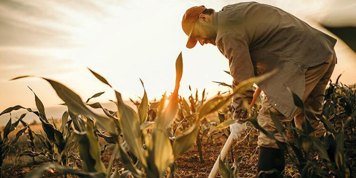 Depremden etkilenen çiftçiler için çağrı