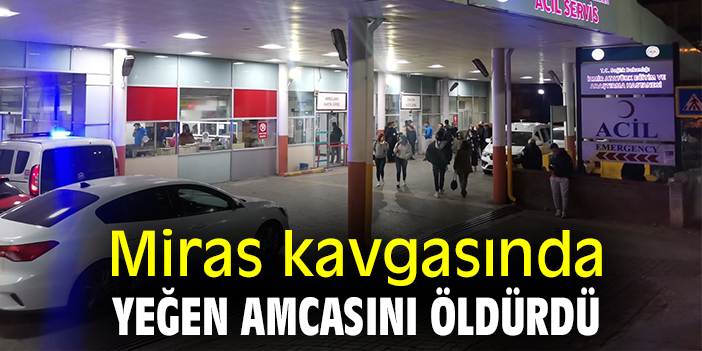 Miras kavgasında yeğen amcasını öldürdü