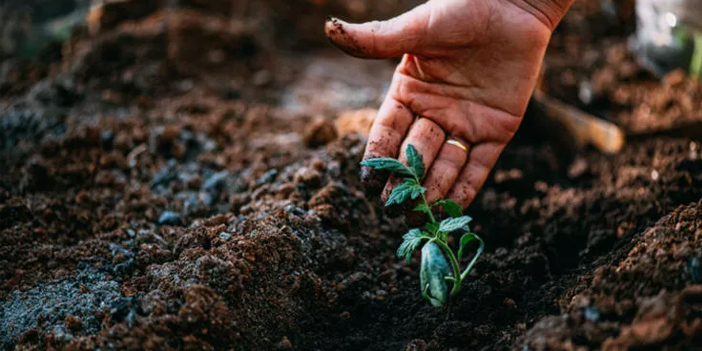 Cemre toprağa düştü