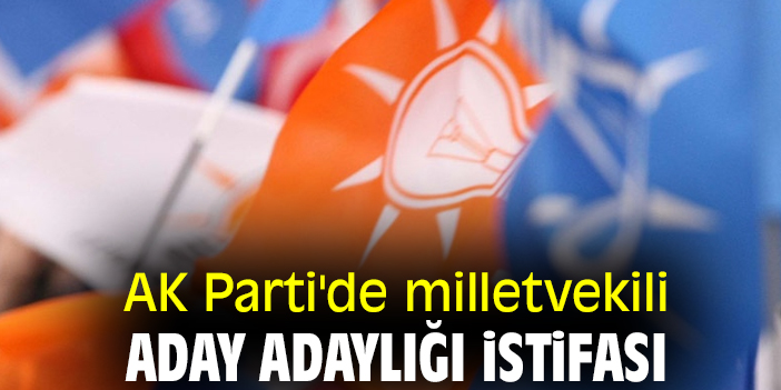 AK Parti'de milletvekili aday adaylığı istifası