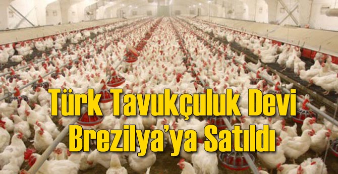 Türk Devi Satıldı!