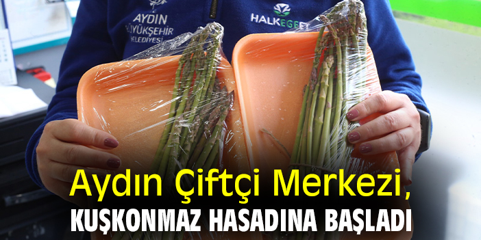 Aydın Çiftçi Merkezi, kuşkonmaz hasadına başladı