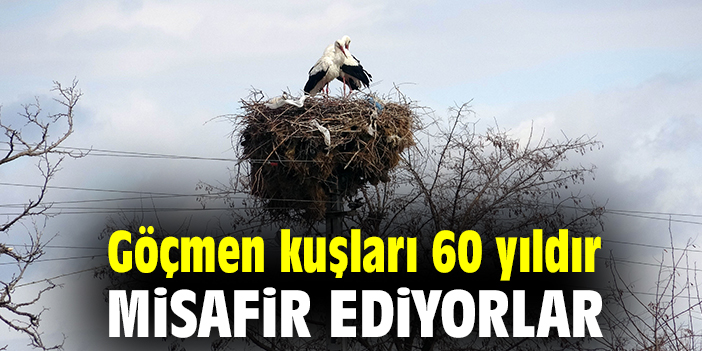 Göçmen kuşları 60 yıldır misafir ediyorlar